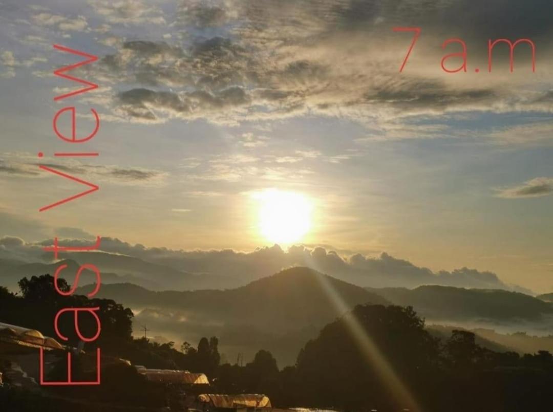 Kensington Sunrise Sg, Horizon,kea Farm