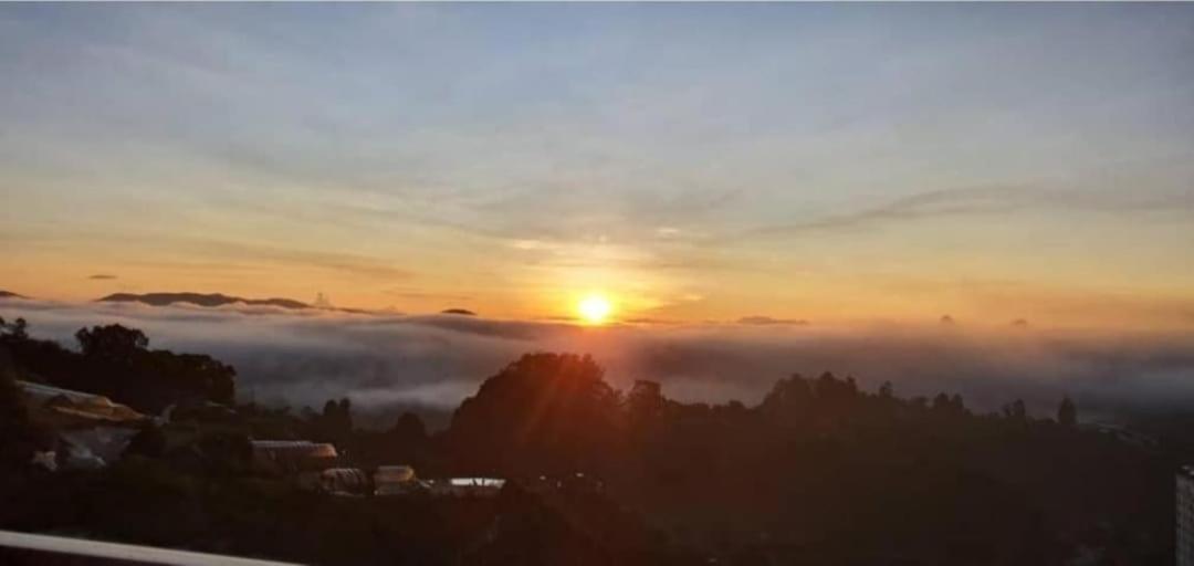 Kensington Sunrise Sg, Horizon,kea Farm Apartment
