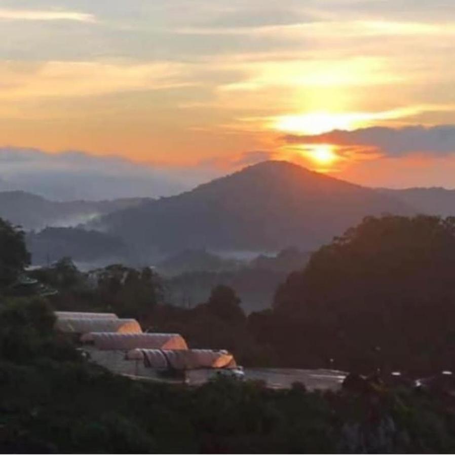 Kensington Sunrise Sg, Horizon,kea Farm