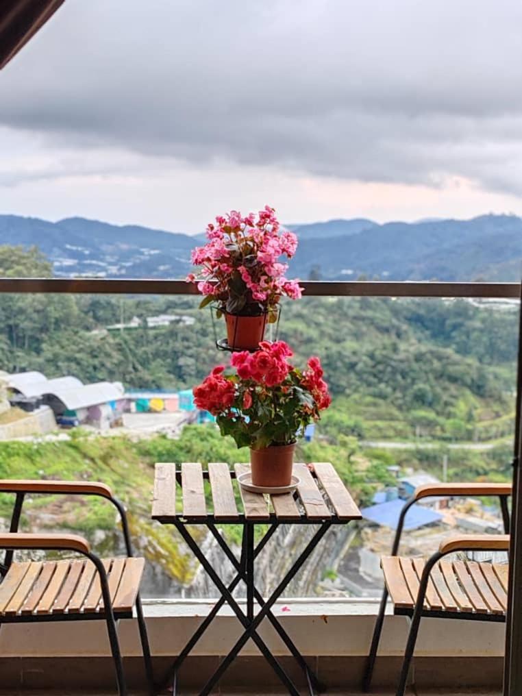 Apartment Kensington Sunrise Sg, Horizon,kea Farm *